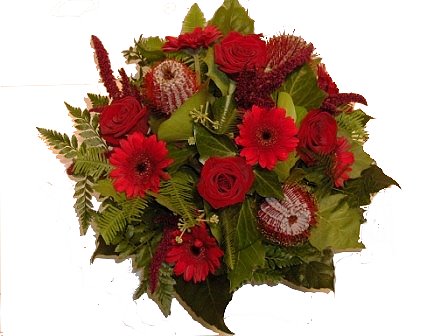snijbloem1.jpg