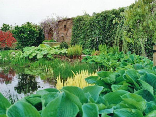 hosta_vijver.jpg